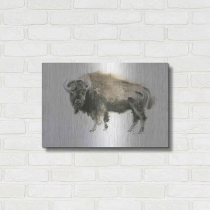 Luxe Metal Art 'Buffalo Bill' by James Wiens, Metal Wall Art,24x16