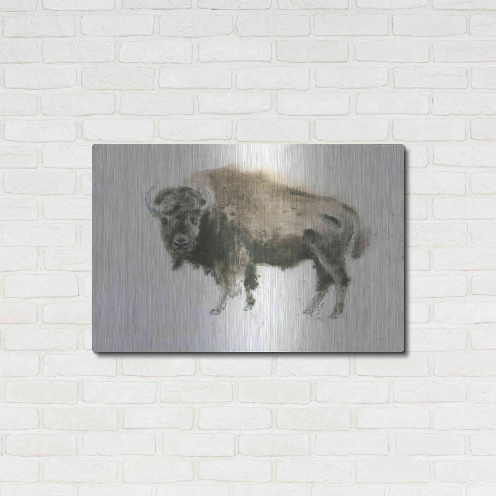 Luxe Metal Art 'Buffalo Bill' by James Wiens, Metal Wall Art,36x24
