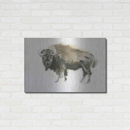 Luxe Metal Art 'Buffalo Bill' by James Wiens, Metal Wall Art,36x24