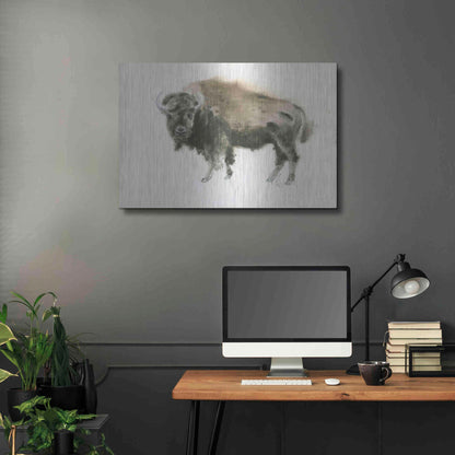 Luxe Metal Art 'Buffalo Bill' by James Wiens, Metal Wall Art,36x24
