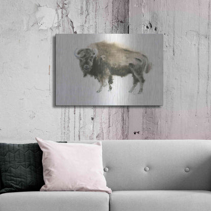 Luxe Metal Art 'Buffalo Bill' by James Wiens, Metal Wall Art,36x24