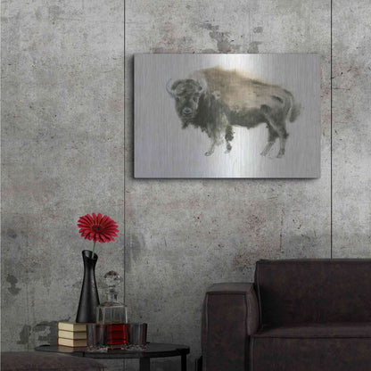 Luxe Metal Art 'Buffalo Bill' by James Wiens, Metal Wall Art,36x24