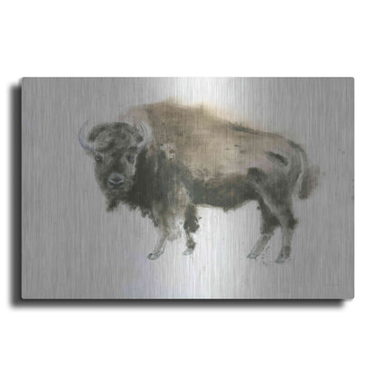 Luxe Metal Art 'Buffalo Bill' by James Wiens, Metal Wall Art