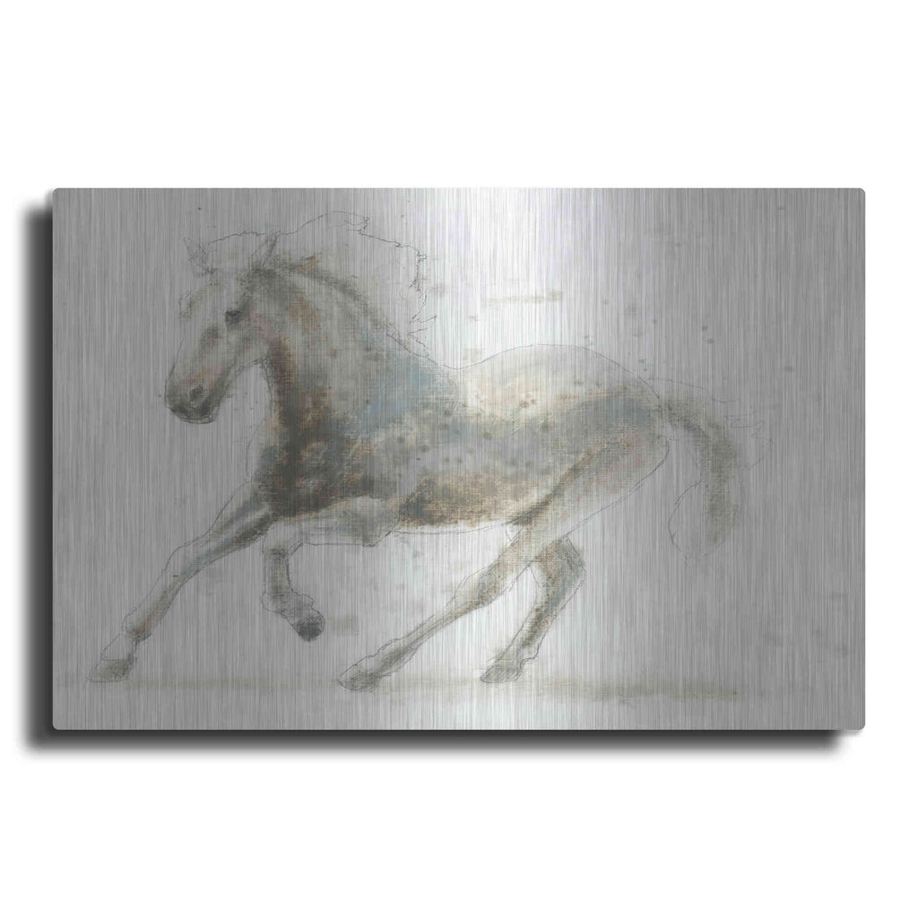 Luxe Metal Art 'Stallion II Horizontal' by James Wiens, Metal Wall Art