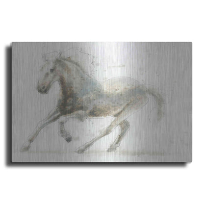 Luxe Metal Art 'Stallion II Horizontal' by James Wiens, Metal Wall Art