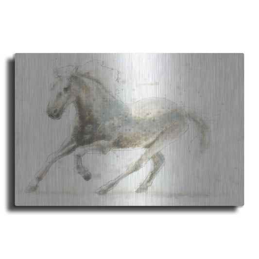 Luxe Metal Art 'Stallion II Horizontal' by James Wiens, Metal Wall Art