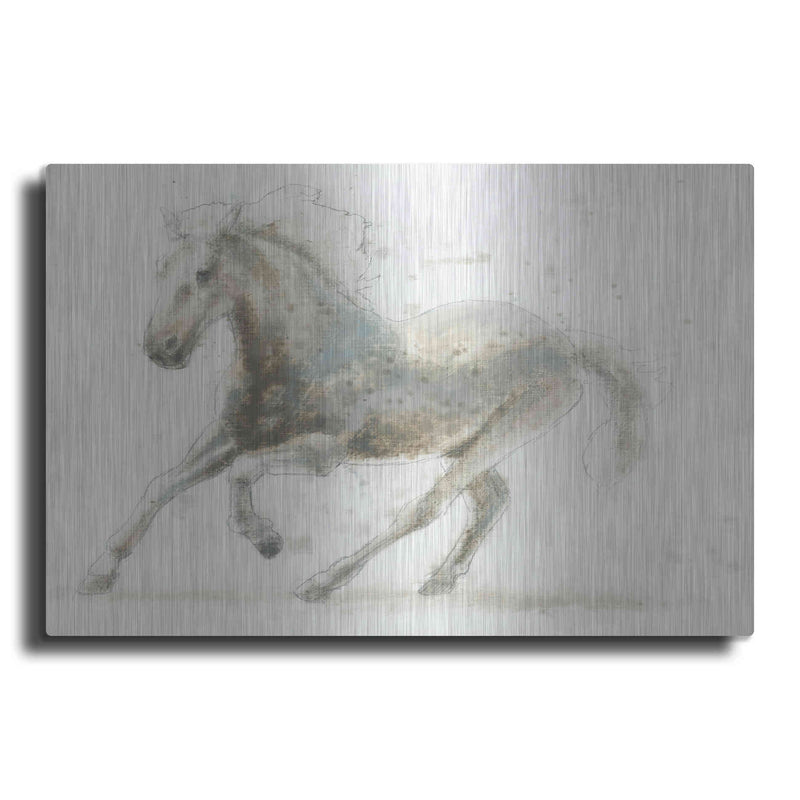 Luxe Metal Art 'Stallion II Horizontal' by James Wiens, Metal Wall Art