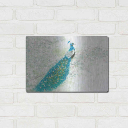 Luxe Metal Art 'Spring Peacock I' by James Wiens, Metal Wall Art,16x12
