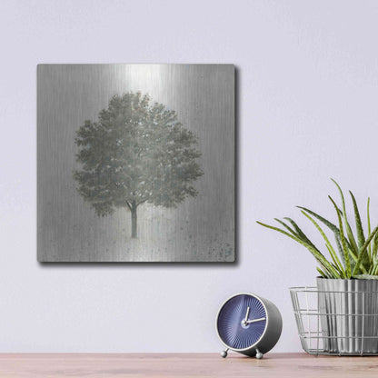 Luxe Metal Art 'Neutrality' by James Wiens, Metal Wall Art,12x12