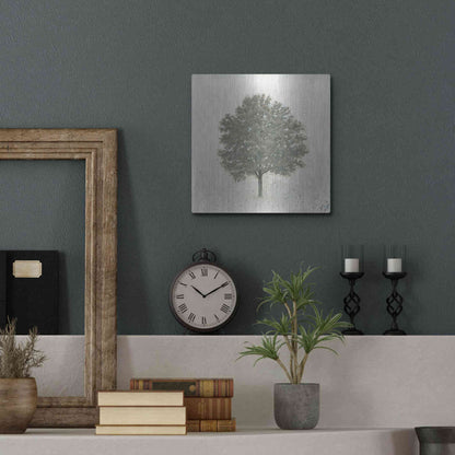 Luxe Metal Art 'Neutrality' by James Wiens, Metal Wall Art,12x12