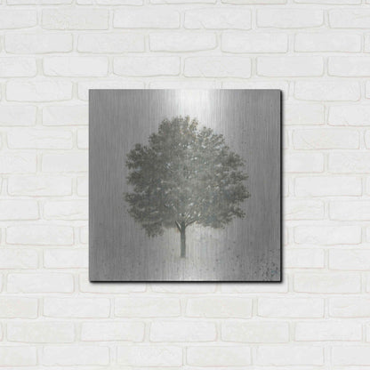 Luxe Metal Art 'Neutrality' by James Wiens, Metal Wall Art,24x24
