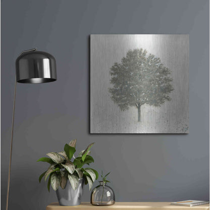 Luxe Metal Art 'Neutrality' by James Wiens, Metal Wall Art,24x24