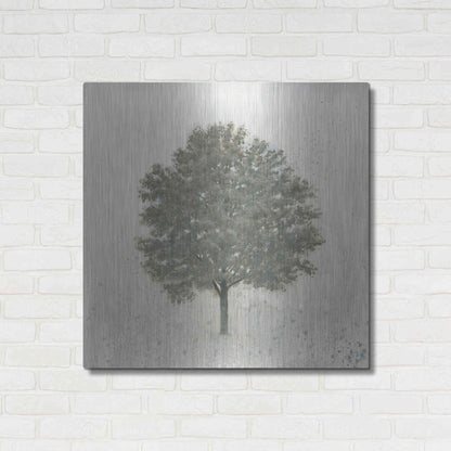 Luxe Metal Art 'Neutrality' by James Wiens, Metal Wall Art,36x36