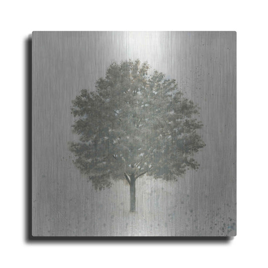 Luxe Metal Art 'Neutrality' by James Wiens, Metal Wall Art