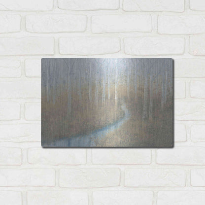 Luxe Metal Art 'Silver Waters' by James Wiens, Metal Wall Art,16x12