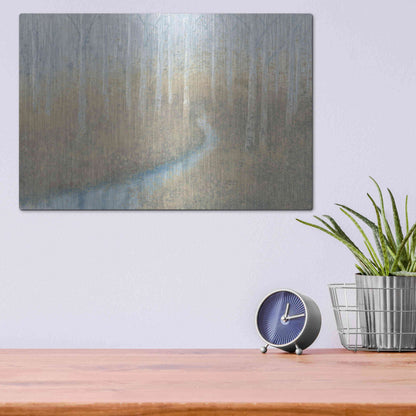 Luxe Metal Art 'Silver Waters' by James Wiens, Metal Wall Art,16x12