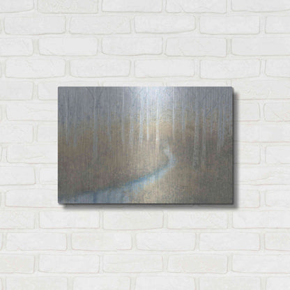 Luxe Metal Art 'Silver Waters' by James Wiens, Metal Wall Art,24x16