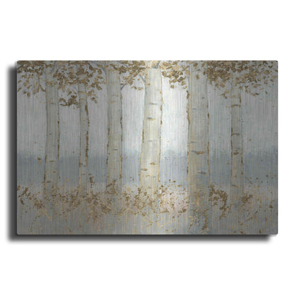 Luxe Metal Art 'Magnificent Birch Grove' by James Wiens, Metal Wall Art