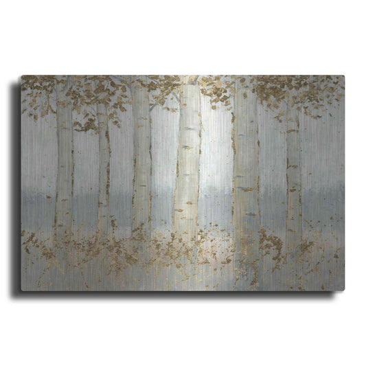 Luxe Metal Art 'Magnificent Birch Grove' by James Wiens, Metal Wall Art