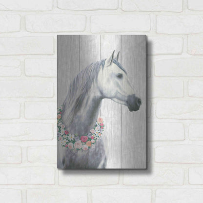 Luxe Metal Art 'Spirit Stallion I on wood' by James Wiens, Metal Wall Art,12x16