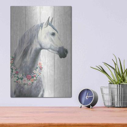 Luxe Metal Art 'Spirit Stallion I on wood' by James Wiens, Metal Wall Art,12x16