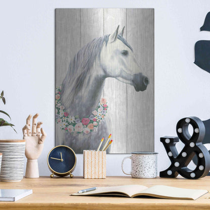 Luxe Metal Art 'Spirit Stallion I on wood' by James Wiens, Metal Wall Art,12x16