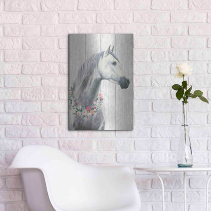 Luxe Metal Art 'Spirit Stallion I on wood' by James Wiens, Metal Wall Art,16x24