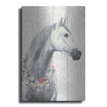 Luxe Metal Art 'Spirit Stallion I on wood' by James Wiens, Metal Wall Art