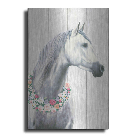 Luxe Metal Art 'Spirit Stallion I on wood' by James Wiens, Metal Wall Art