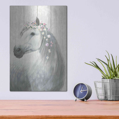 Luxe Metal Art 'Spirit Stallion II on wood' by James Wiens, Metal Wall Art,12x16