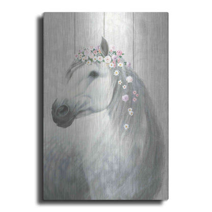 Luxe Metal Art 'Spirit Stallion II on wood' by James Wiens, Metal Wall Art