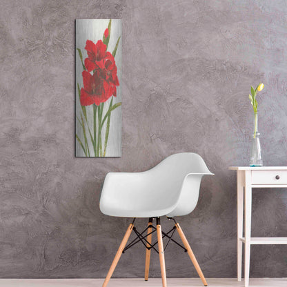 Luxe Metal Art 'Red Simplicity I' by James Wiens, Metal Wall Art,12x36