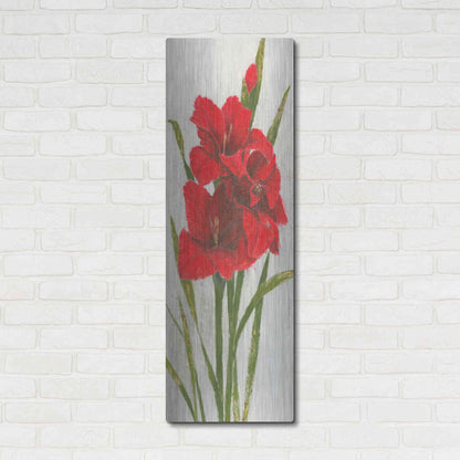 Luxe Metal Art 'Red Simplicity I' by James Wiens, Metal Wall Art,16x48