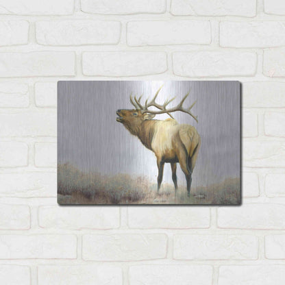 Luxe Metal Art 'Majestic Elk' by James Wiens, Metal Wall Art,16x12