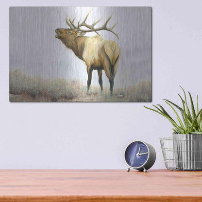 Luxe Metal Art 'Majestic Elk' by James Wiens, Metal Wall Art,16x12