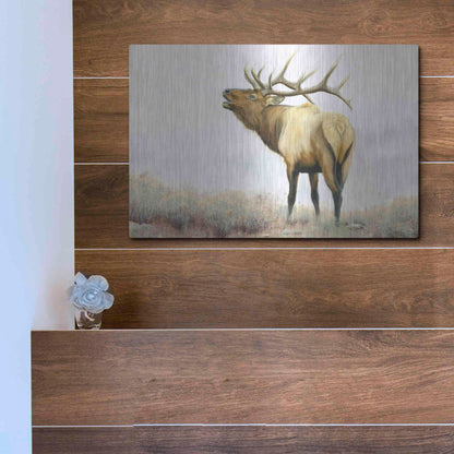 Luxe Metal Art 'Majestic Elk' by James Wiens, Metal Wall Art,16x12