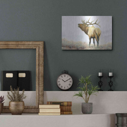 Luxe Metal Art 'Majestic Elk' by James Wiens, Metal Wall Art,16x12
