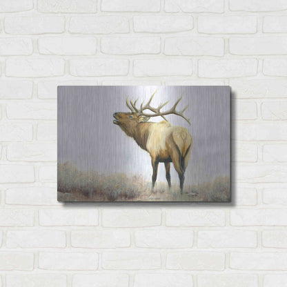 Luxe Metal Art 'Majestic Elk' by James Wiens, Metal Wall Art,24x16
