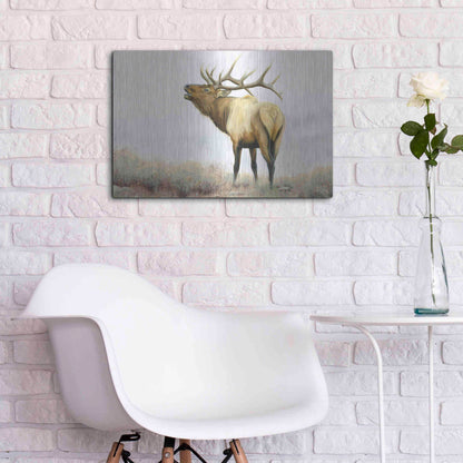 Luxe Metal Art 'Majestic Elk' by James Wiens, Metal Wall Art,24x16
