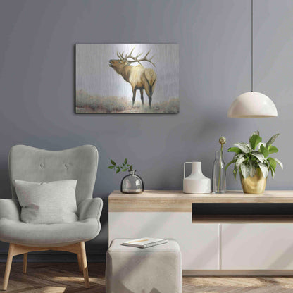 Luxe Metal Art 'Majestic Elk' by James Wiens, Metal Wall Art,24x16