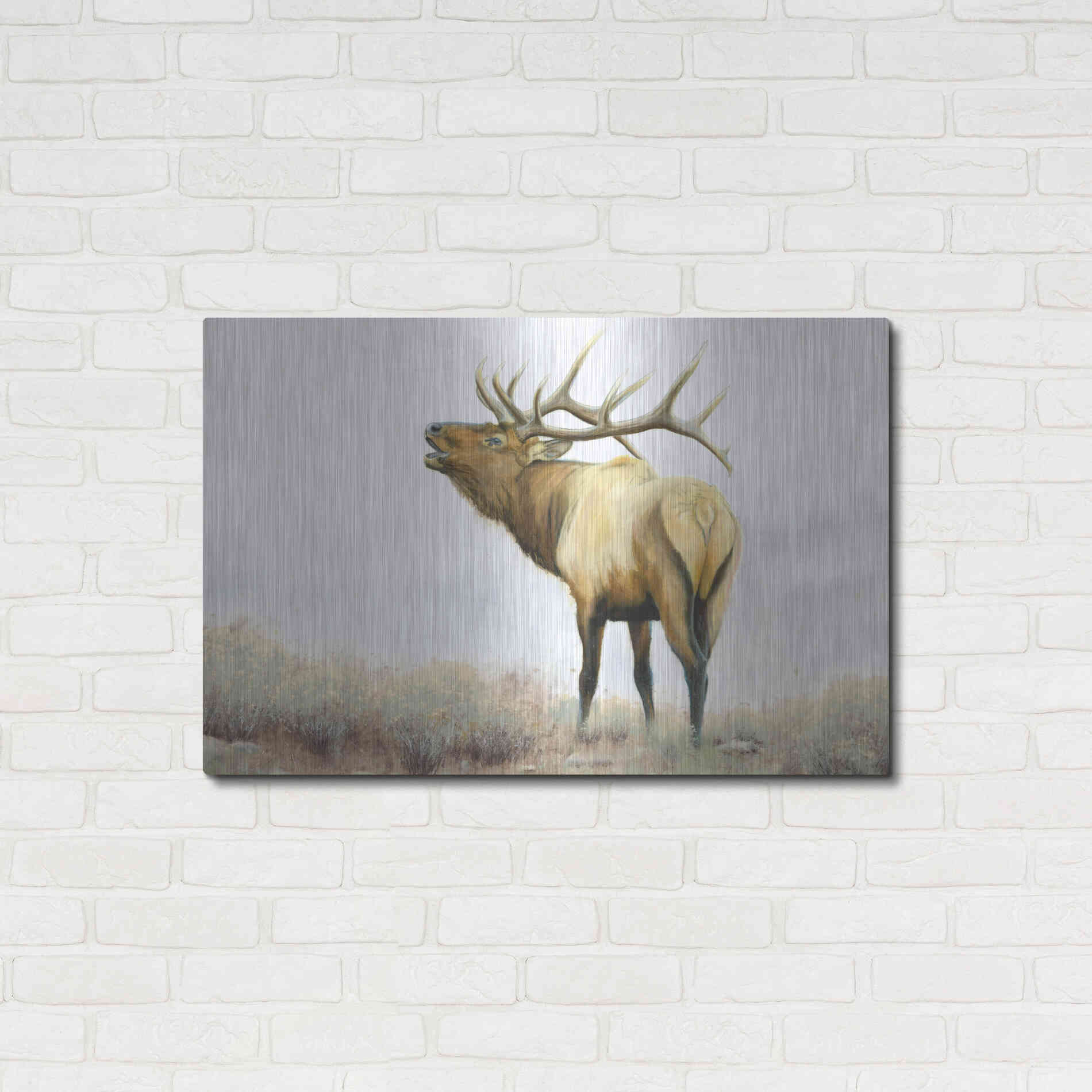 Luxe Metal Art 'Majestic Elk' by James Wiens, Metal Wall Art,36x24