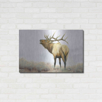 Luxe Metal Art 'Majestic Elk' by James Wiens, Metal Wall Art,36x24
