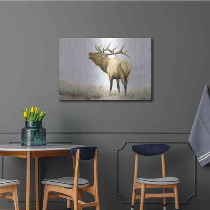 Luxe Metal Art 'Majestic Elk' by James Wiens, Metal Wall Art,36x24