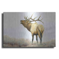 Luxe Metal Art 'Majestic Elk' by James Wiens, Metal Wall Art