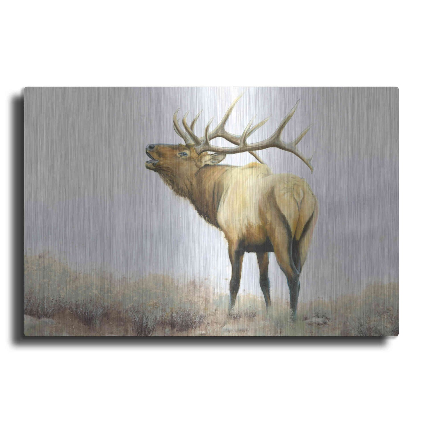 Luxe Metal Art 'Majestic Elk' by James Wiens, Metal Wall Art