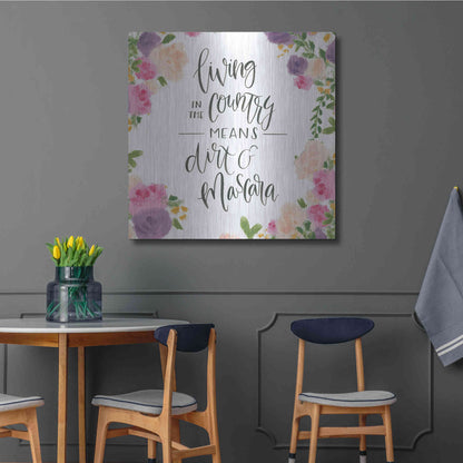 Luxe Metal Art 'Beautiful Country V' by James Wiens, Metal Wall Art,36x36