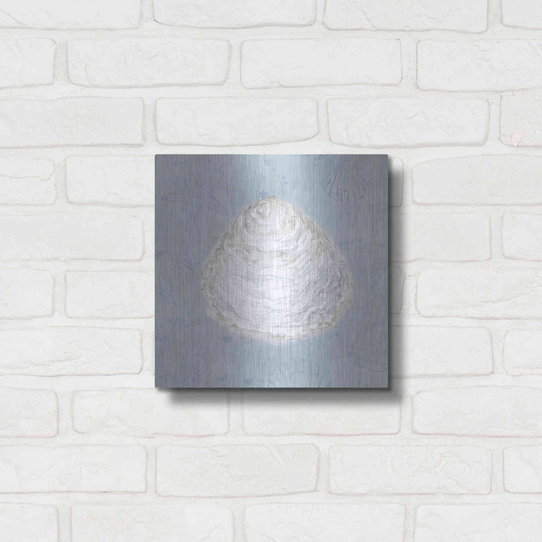 Luxe Metal Art 'Serene Shells I' by James Wiens, Metal Wall Art,12x12