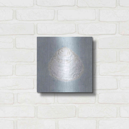 Luxe Metal Art 'Serene Shells I' by James Wiens, Metal Wall Art,12x12