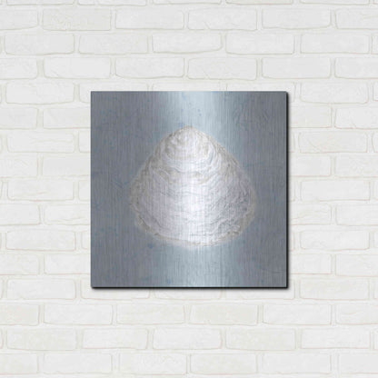 Luxe Metal Art 'Serene Shells I' by James Wiens, Metal Wall Art,24x24