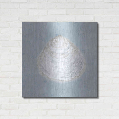 Luxe Metal Art 'Serene Shells I' by James Wiens, Metal Wall Art,36x36